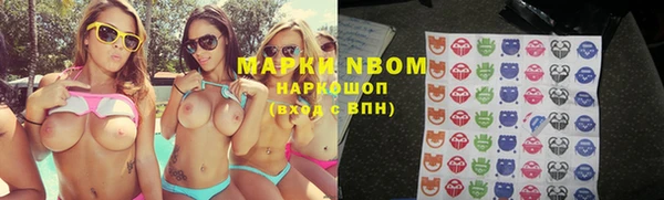 винт Аркадак