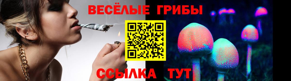 Усинск  Псилоцибиновые грибы GOLDEN TEACHER  Галлюциногенные грибы Magic Shrooms  Вход с VPN 